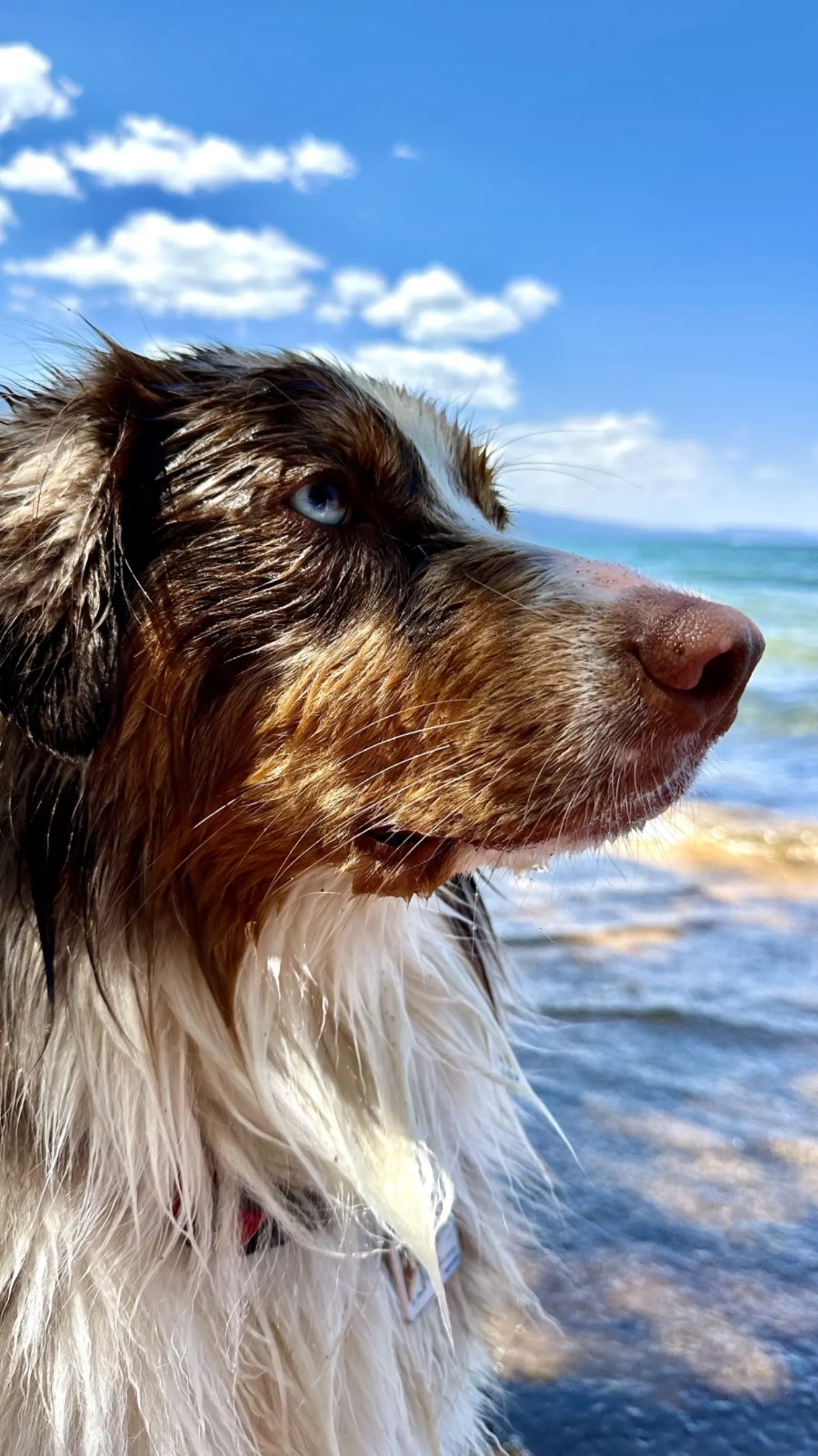 Jhonny at Tahoe 2023